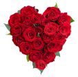 rose per la tua dea!